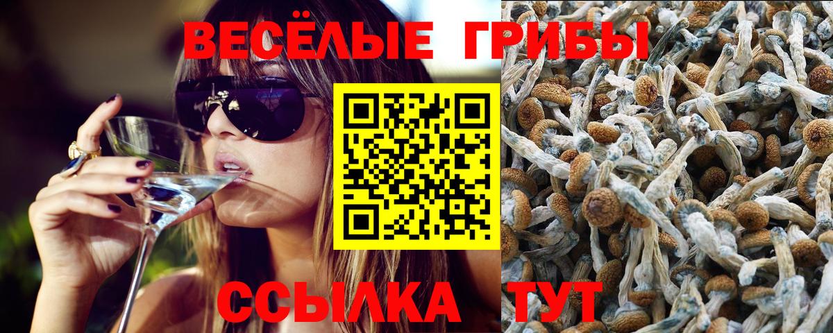 Псилоцибиновые грибы Psilocybe  Вход с VPN  Псилоцибиновые грибы Psilocybe  Таганрог 