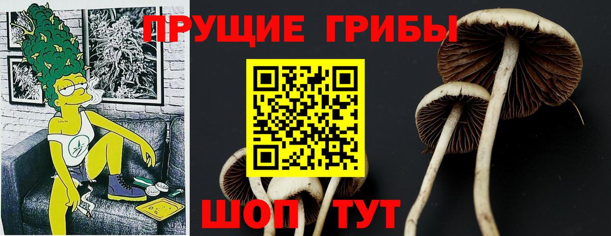 Псилоцибиновые грибы MAGIC MUSHROOMS Таганрог
